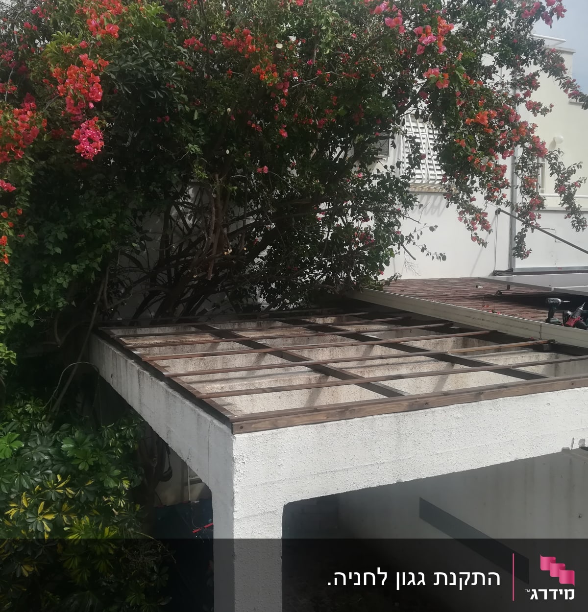 פרגולה מעץ עם צמח מטפס ופרחים אדומים